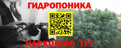 мдпв Донецк
