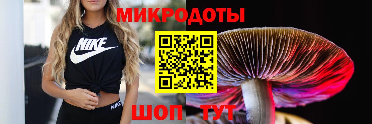 купить наркоту  Вход с VPN  Магнитогорск  Галлюциногенные грибы GOLDEN TEACHER 