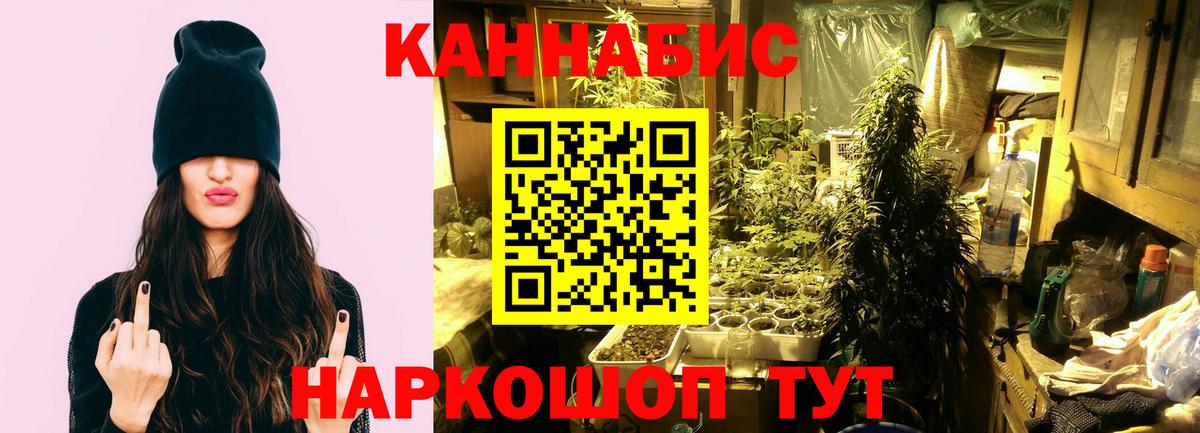 Бошки Шишки THC 21% Магнитогорск